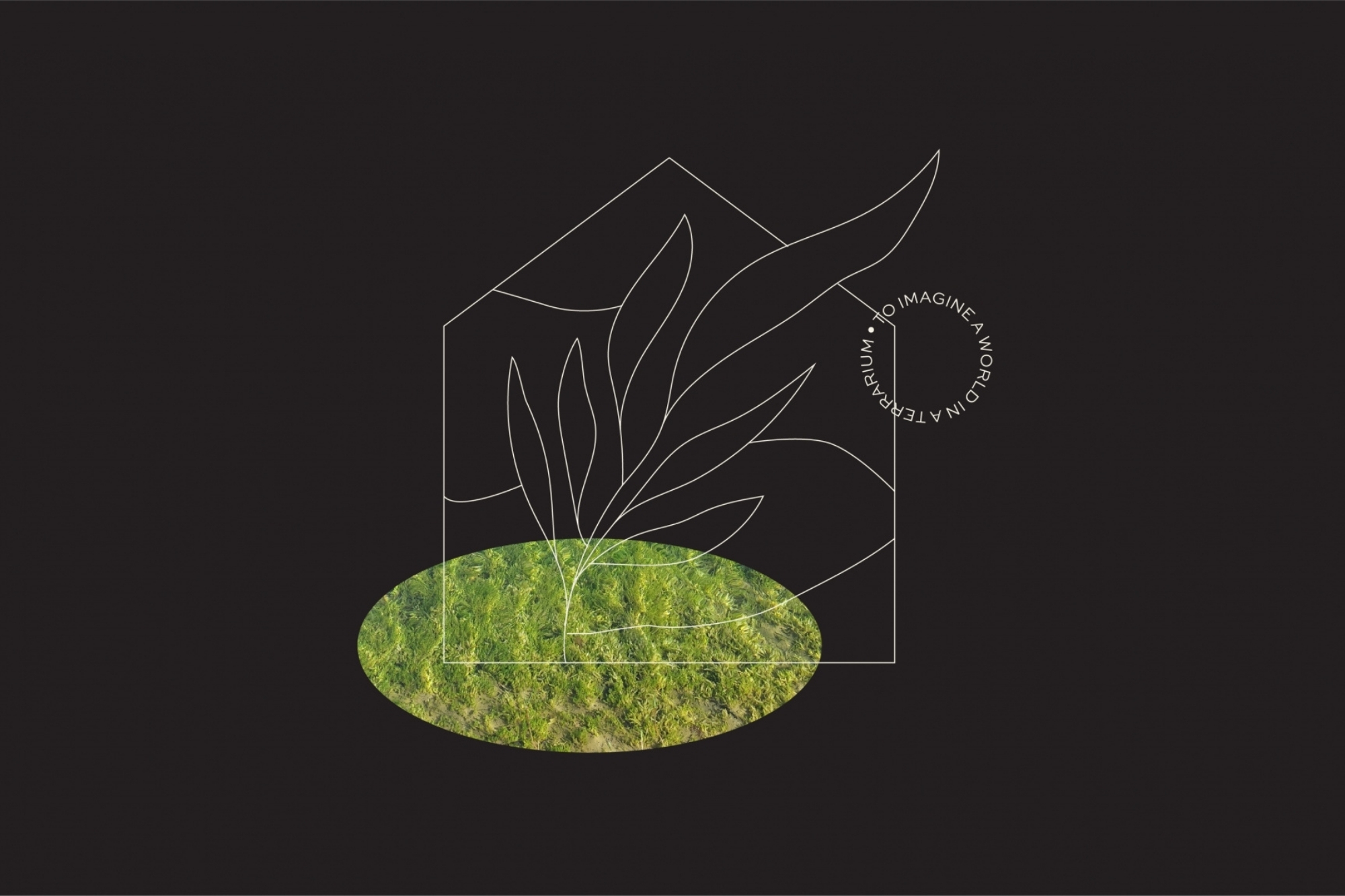 TERRA (05) TERRA (05)